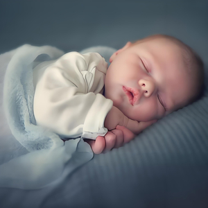 麻豆免费观看视频网站
