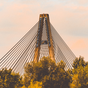 麻豆免费观看视频网站
