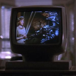 麻豆免费观看视频网站
