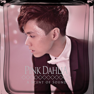 麻豆免费观看视频网站
